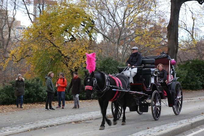 Central Park Private Horse Carriage Tour in NYC - Price, Time, and Who This Private Tour Is Best For