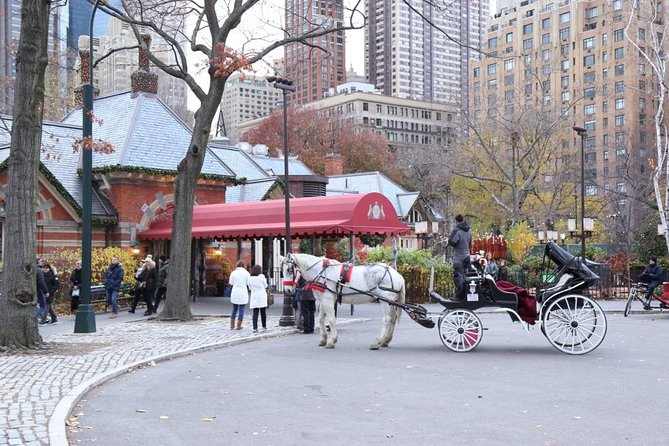 Central Park Private Horse Carriage Tour in NYC - What to Bring, and How to Get the Best Photos