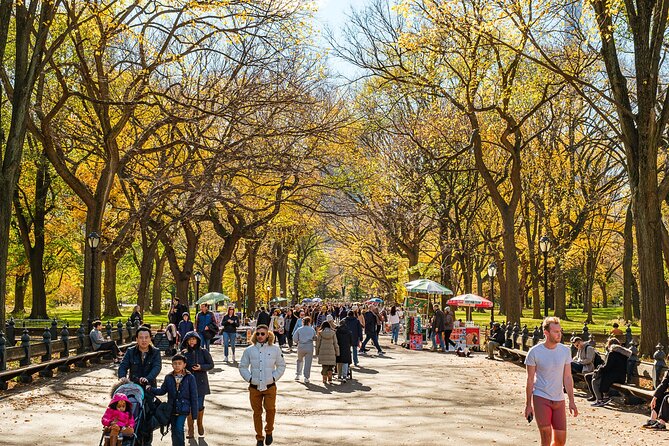 Central Park Private Pedicab Tour (60 mins) - Central Park Zoo (Southeast Corner) and the Edge Views