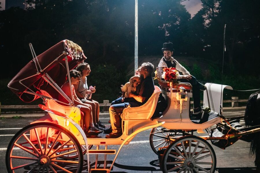 Central Park, Rockefeller & Times Carriage Ride (4 Adults) - My booking checklist (so the ride feels effortless)
