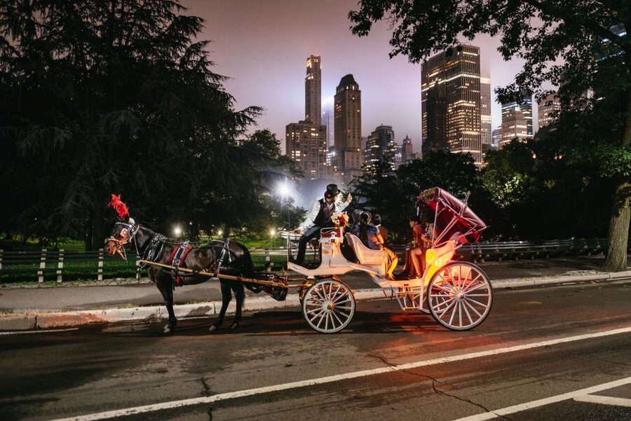 Central Park, Rockefeller & Times Carriage Ride (4 Adults) - Central Park at dusk: skyline angles and guided stories