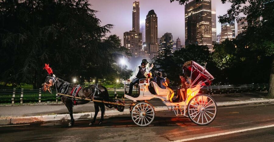 Central Park, Rockefeller & Times Carriage Ride (4 Adults) - Times Square from your carriage seat: lights, people, and perspective