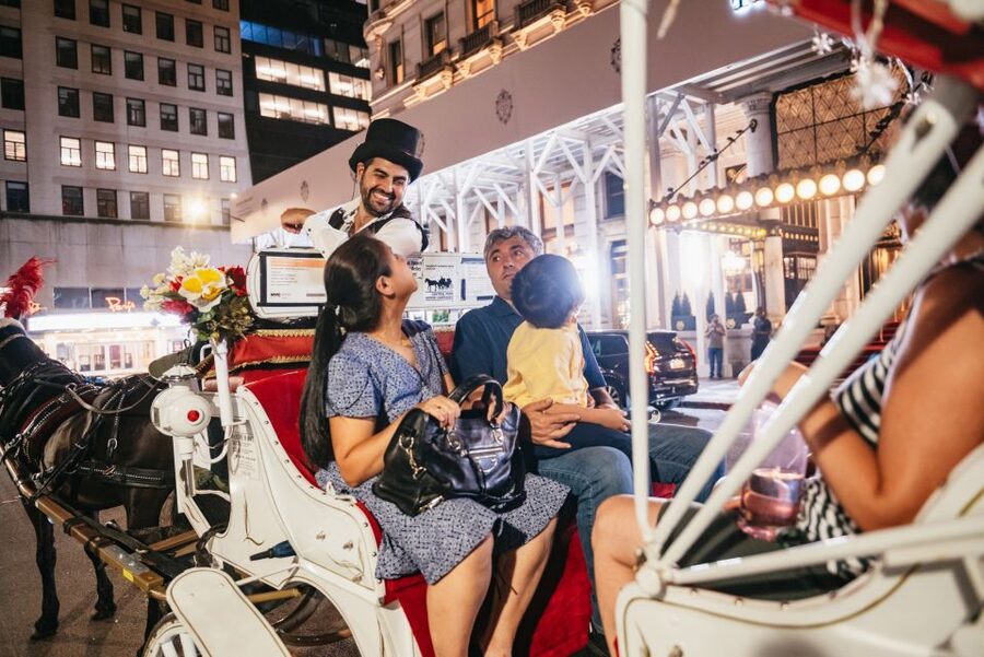 Central Park, Rockefeller & Times Carriage Ride (4 Adults) - The little comfort details: roof, blankets, and photos