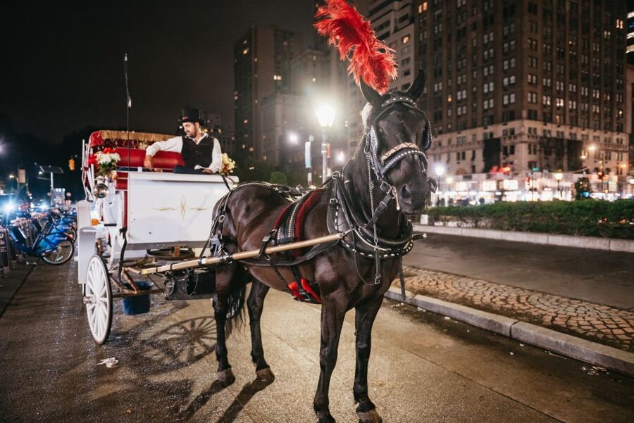 Central Park, Rockefeller & Times Carriage Ride (4 Adults) - Who this carriage ride fits best (and who should skip it)