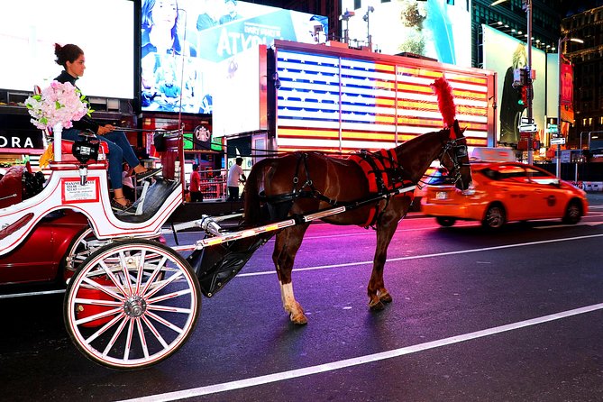 Central Park & Rockefeller Tour (4 Adults) - The horse-and-carriage details that make the ride feel nicer