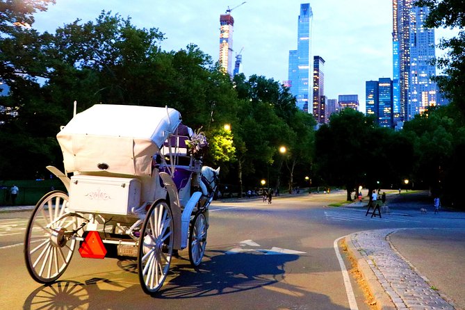 Central Park & Rockefeller Tour (4 Adults) - Price and value: what $285 per carriage really means