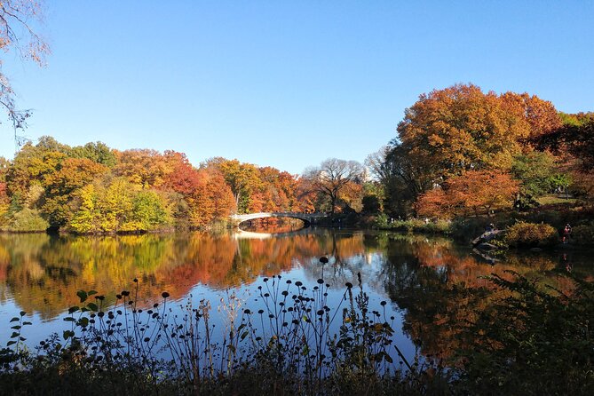 Central Park: Scandal & Vice Walking Tour - Starting at the Arsenal: Evictions and 19th-Century Violence