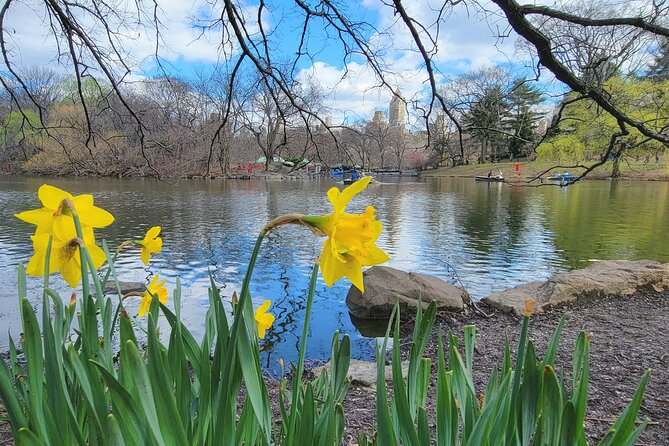 Central Park Secrets And Highlights - What you’ll see: arch bridges, rocky nooks, and film-familiar corners