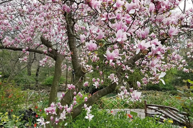 Central Park Secrets And Highlights - Who this Central Park secrets tour fits best