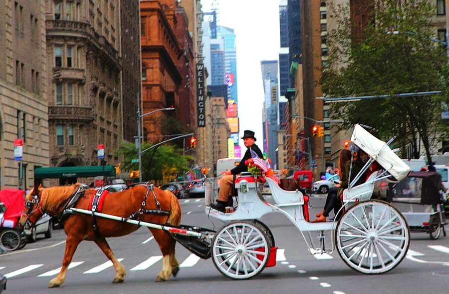 Central Park: Short Horse Carriage Ride (Up to 4 Adults) - Key Highlights You’ll Actually Notice