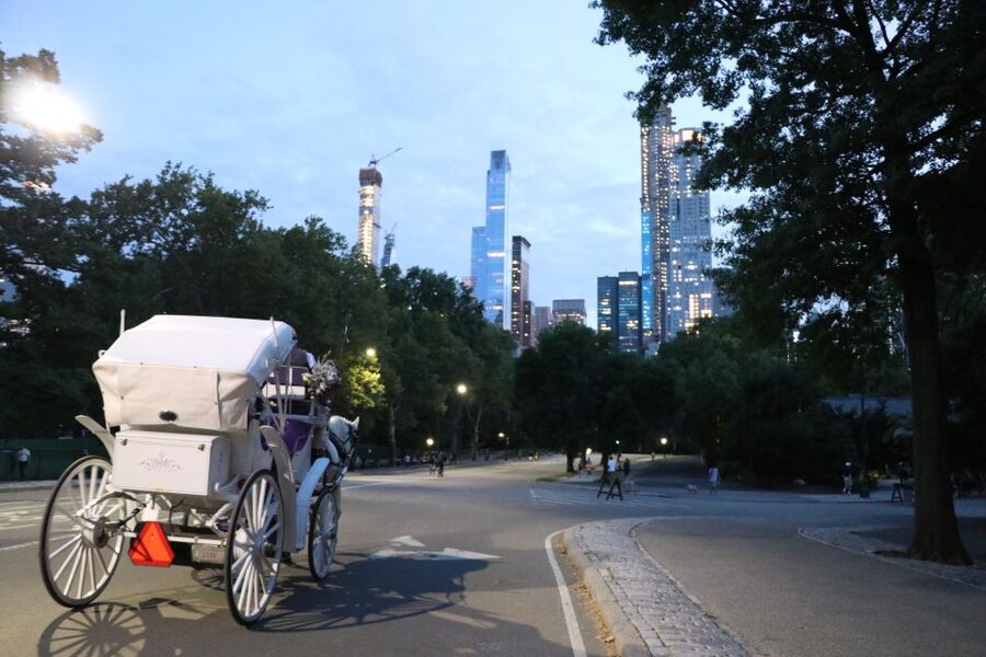 Central Park: Short Horse Carriage Ride (Up to 4 Adults) - Should You Book This Short Horse Carriage Ride?