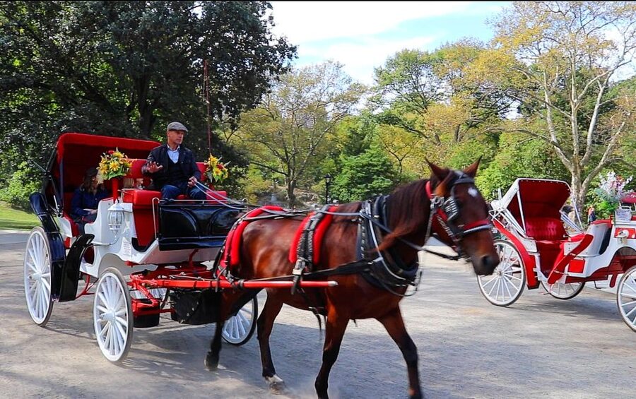 Central Park: Short Horse Carriage Ride (Up to 4 Adults) - The 20–25 Minute Route: what you’ll see and where photos happen