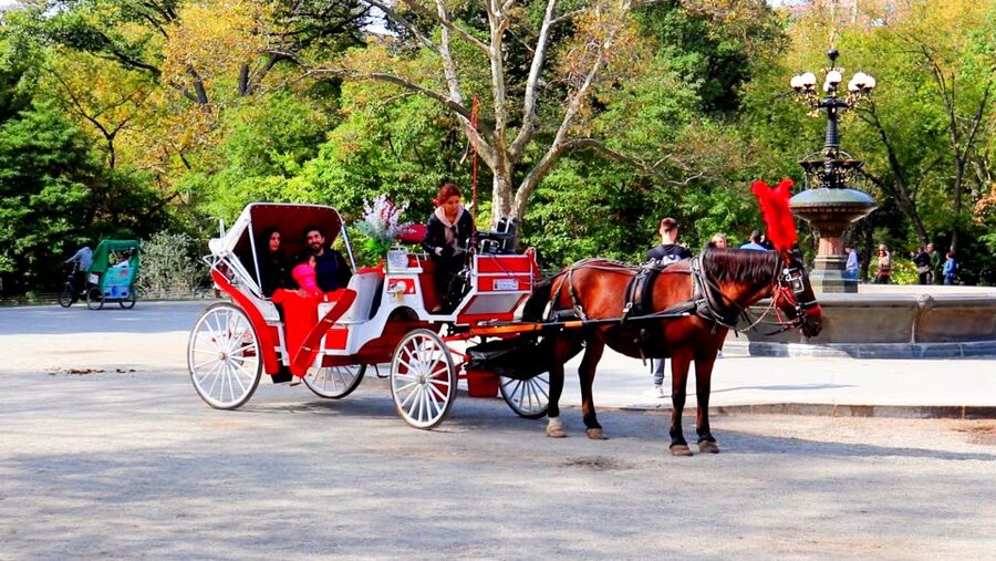 Central Park: Short Horse Carriage Ride (Up to 4 Adults) - Quick Planning Tips so It Feels Worth It