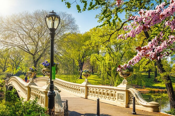 Central Park Stolen Archives: NY Exploration Game and Tour - 24/7 customer support: the safety net you’ll feel (even if you don’t need it)
