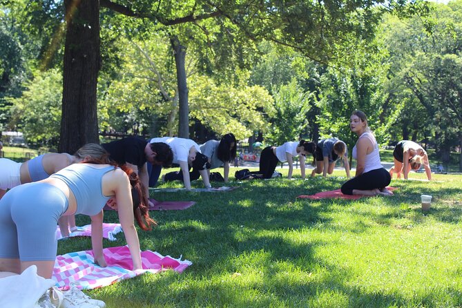 Central Park Yoga Class with a View in the Heart of New York City - Meeting Point at Le Pain Quotidien Above Sheep’s Meadow