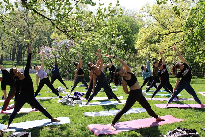 Central Park Yoga Class with a View in the Heart of New York City - The Photos at the End (A Nice Keepsake)