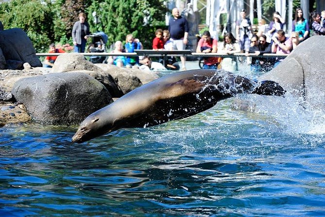 Central Park Zoo Admission Ticket with 4D Theater Access - How long you actually need: 1 to 2 hours, and when to extend
