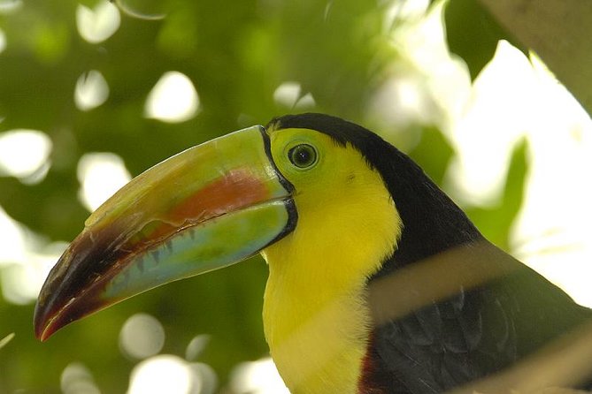 Central Park Zoo Admission Ticket with 4D Theater Access - Price and value: is $22.95 worth a quick Central Park stop?