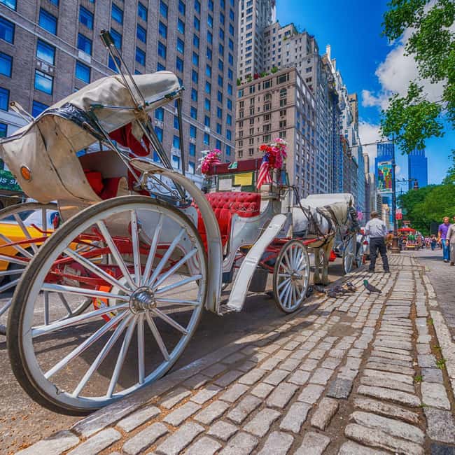 Christmas in Central Park: Horse Carriage Holiday Tour - Key things to know before you go