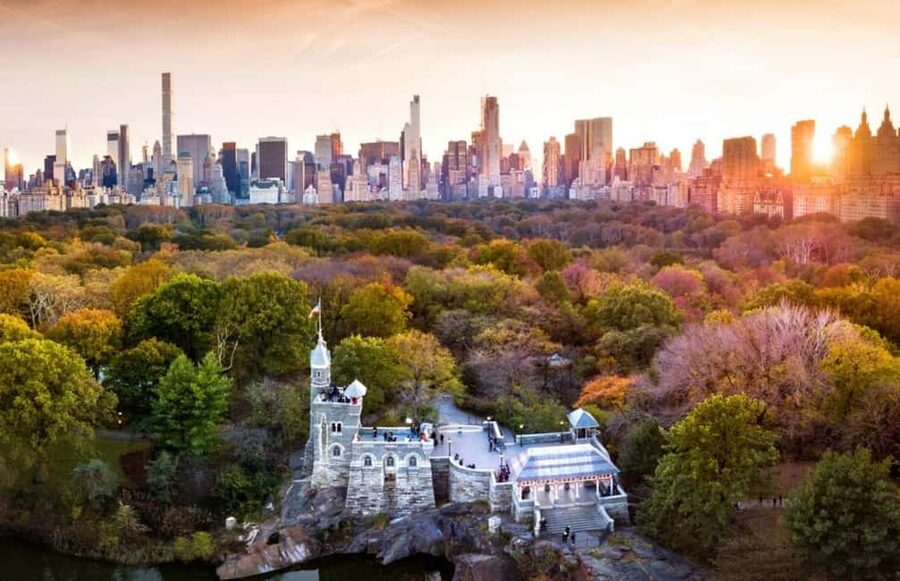 Christmas in Central Park: Horse Carriage Holiday Tour - Why this Central Park Christmas ride feels different than sightseeing on your feet