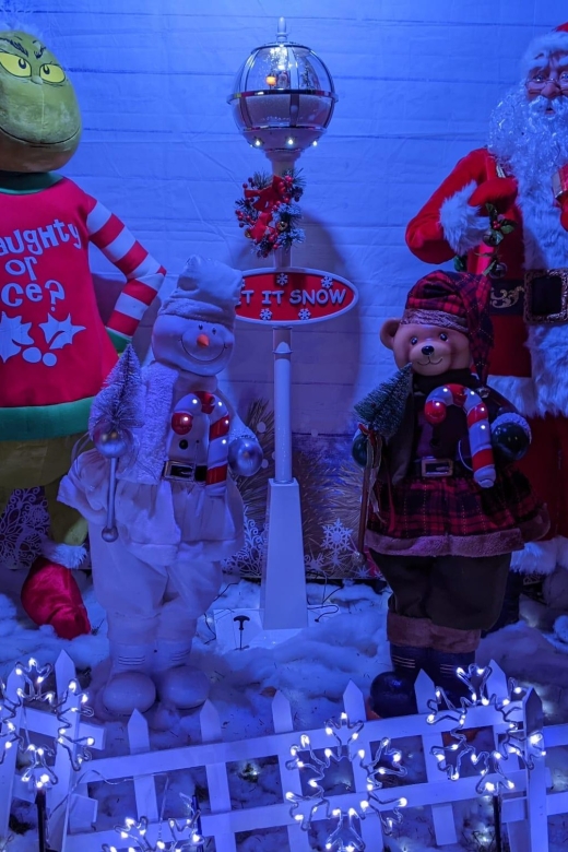 Christmas Light Night tour - Why Dyker Heights Feels Like the Real Christmas Movie