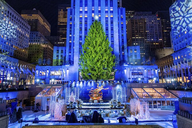 Christmas Light Private Carriage Ride New York City - Key Things to Know Before You Ride