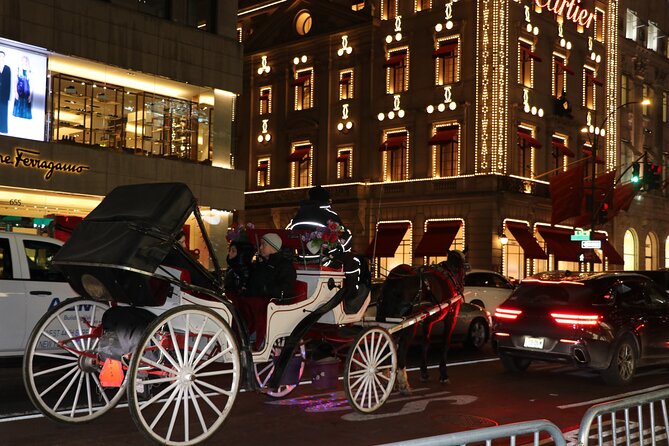 Christmas Light Private Carriage Ride New York City - Gar Pond in winter: the quick pause that adds Central Park texture
