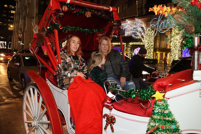 Christmas Light Private Carriage Ride New York City - Trump Tower and the Midtown power corridor: fast views, good context