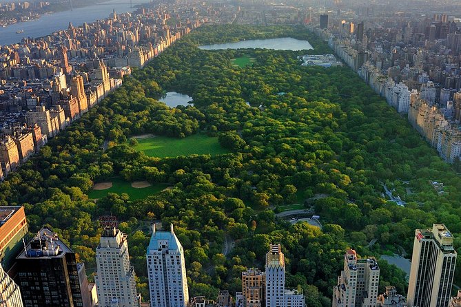 Deluxe Central Park Pedicab Tour - The guide matters: pace, humor, and photos you don’t have to fuss over