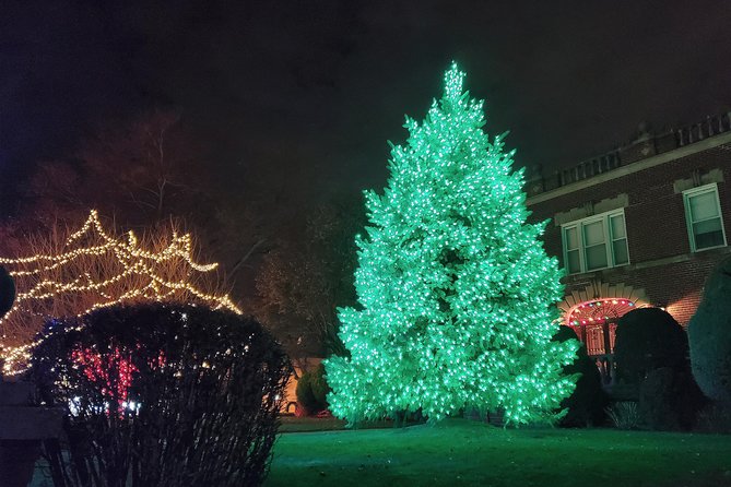 Dyker Heights Christmas Lights Guided Tour - Price and Value: Is $63 Worth It?