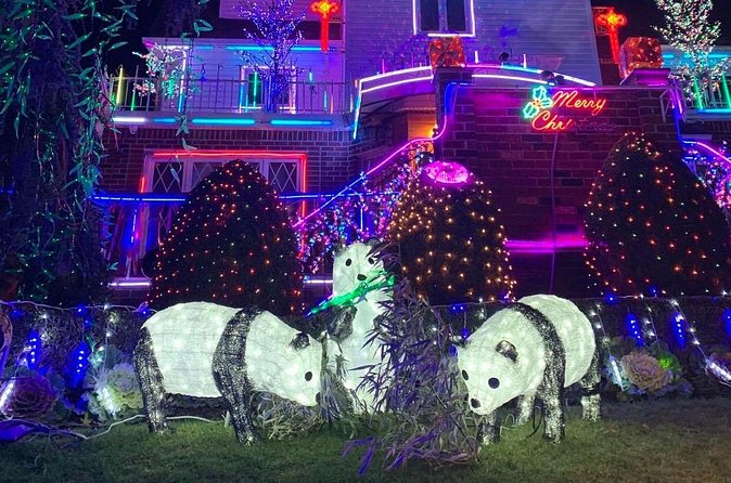 Dyker Heights Christmas Lights Tour - Washington Square Park: A Christmas Tree Moment in Greenwich Village