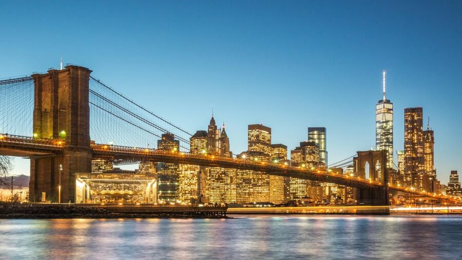 Easy Access Statue of Liberty & Brooklyn Bridge Discovery - Starting at Castle Clinton National Monument (Battery Park basics)