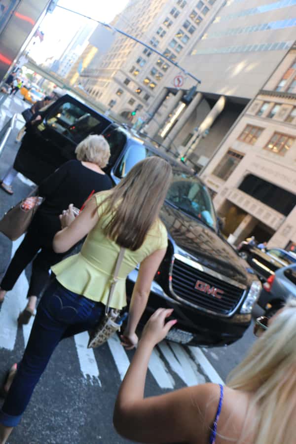 Everything New York City Private SUV Tour - Price and value: $880 for up to five people