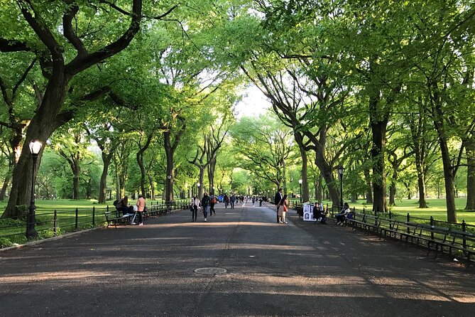 First Class Central Park Tour – Iconic Views & VIP Photo Moments - Wollman Rink and Gapstow Bridge: skyline views in a few minutes