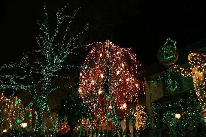 French Christmas Tour in Brooklyn - Price, logistics, and group limits: Who this tour suits best