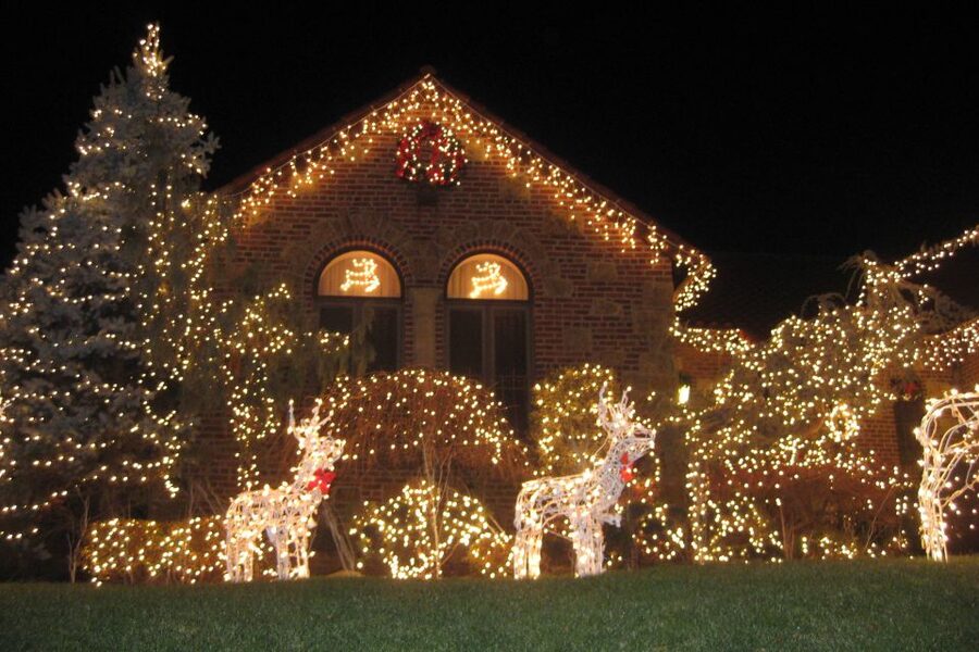 From Manhattan: 4-Hour Brooklyn Christmas Magic Tour - Why Dyker Heights and Dumbo at Night Is the Real NYC Christmas