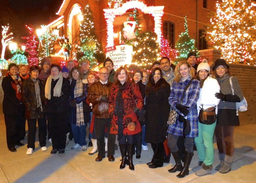 From Manhattan: 4-Hour Christmas Lights Luxury Bus Tour - Brooklyn Bridge Park: Skyline Views Without Needing a Separate Plan