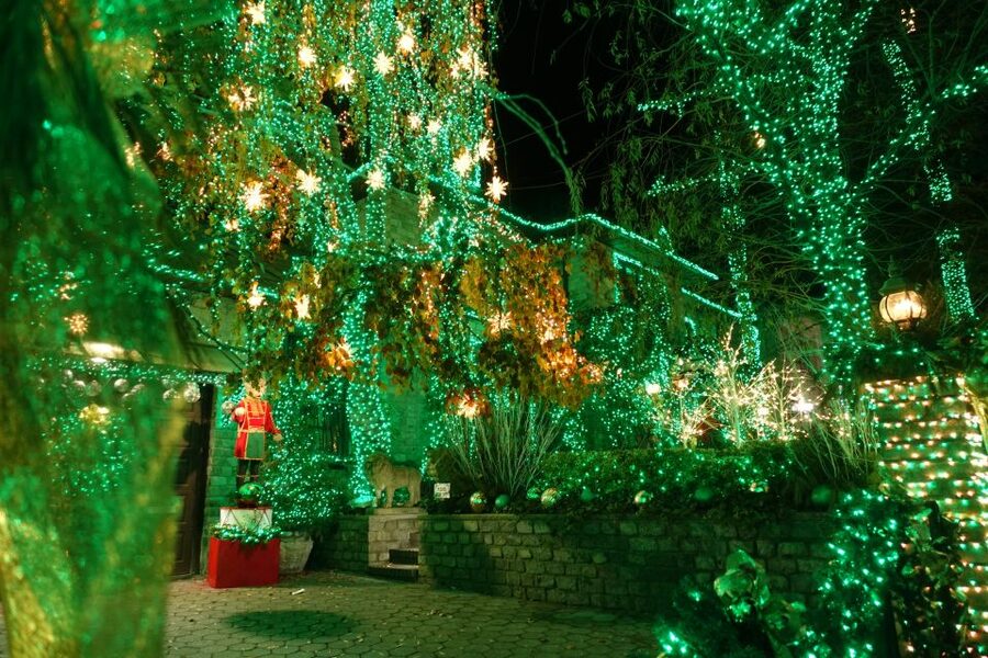 From Manhattan: 4-Hour Christmas Lights Luxury Bus Tour - The Guides and Drivers: Why the Commentary Matters as Much as the Lights