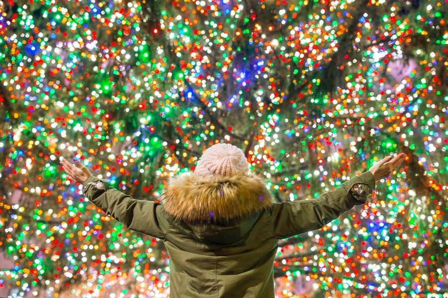 From Manhattan: 4-Hour Christmas Lights Luxury Bus Tour - Price and Value: Is $95 Worth It?