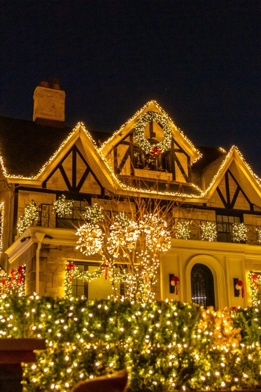 From Manhattan: 4-Hour Dyker Heights Holiday Lights Bus Tour - Returning via the Manhattan Bridge: a second viewing chance on the way back