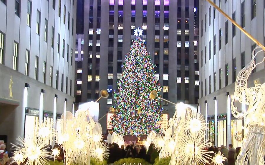 From Manhattan: Dyker Heights Lights & Skyline Tour - Who this tour suits best