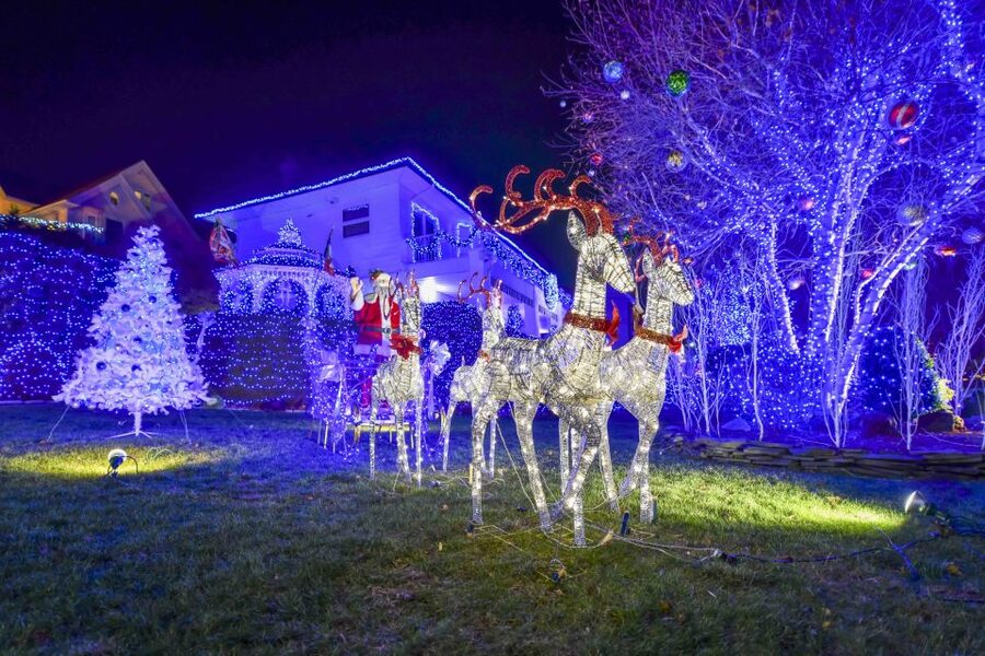 From Manhattan: Dyker Heights Lights & Skyline Tour - Should you book this Dyker Heights Lights & Skyline Tour?