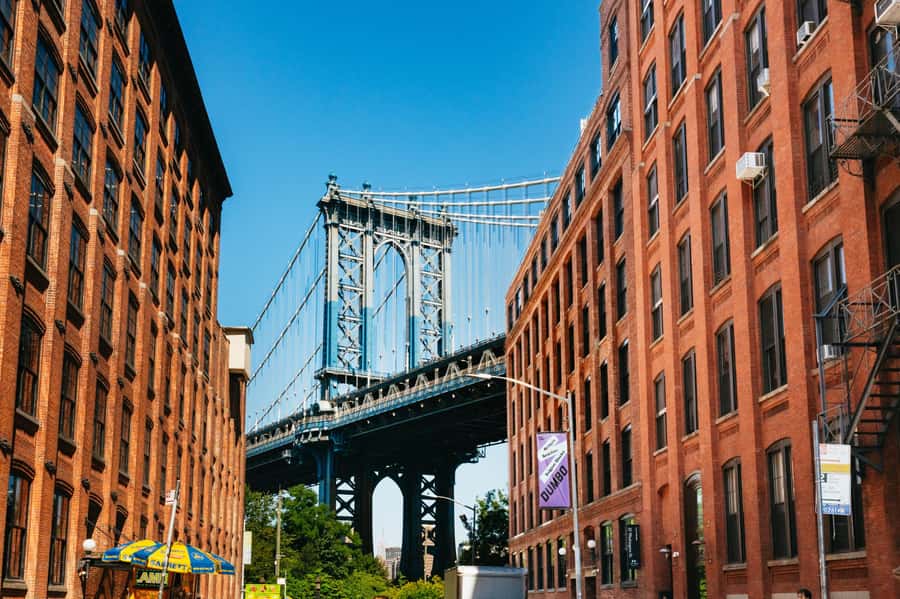 From Manhattan: Full-Day NYC Boroughs and Coney Island Tour - Bronx Baseball, Hip-Hop Origins, and Street Art: Seeing the Story in Layers