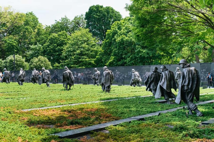 From Manhattan or New Jersey: Washington DC in a Day Tour - The return plan: lunch in DC, then a NYC night panorama