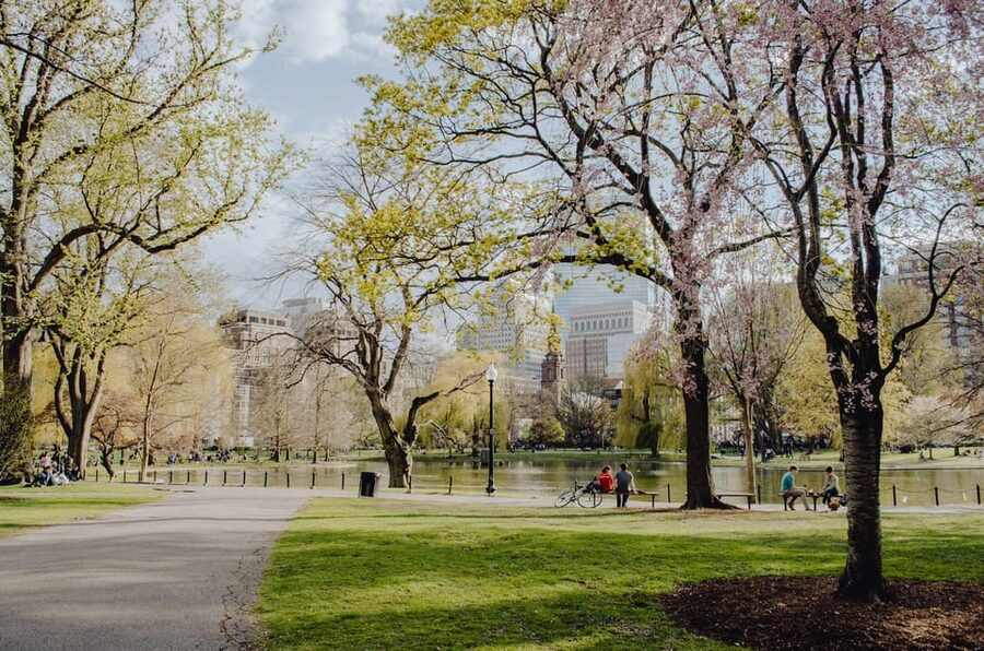From New York: Niagara Falls and Washington DC 3-Day Trip - Price includes a lot, but reliability is the real deciding factor