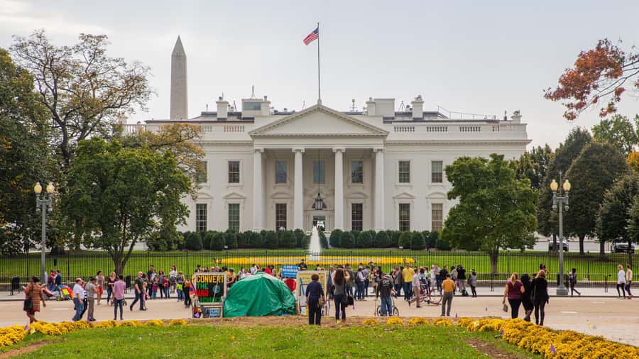From New York: Washington Excursion in 1 Day - How This New York-to-D.C. Day Trip Really Feels