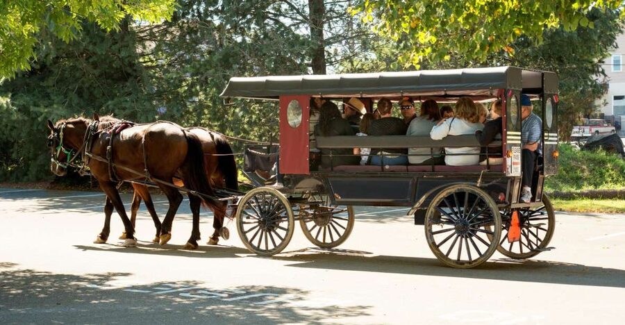 From NYC: Day Trip to Philadelphia and Amish Country - A fast, early start from NYC to Philly and Lancaster
