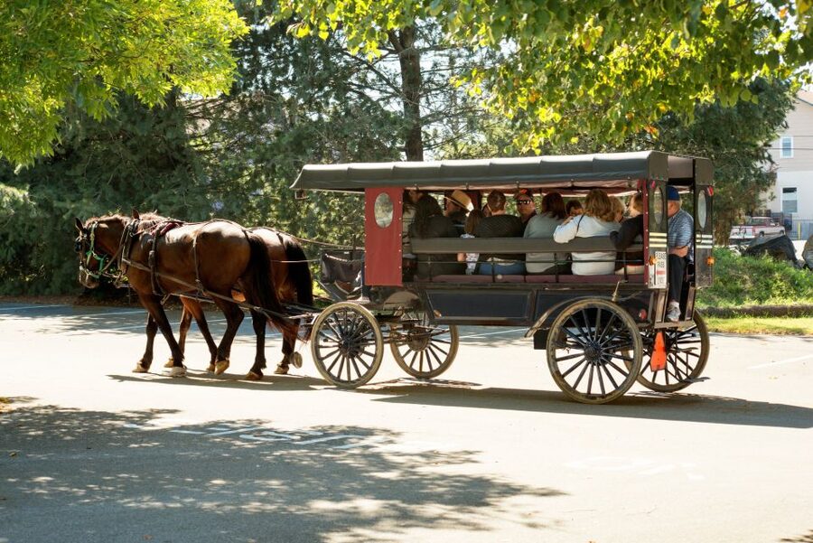 From NYC: Day Trip to Philadelphia and Amish Country - Long-day reality: pacing, walking, and where trips can feel “too much”