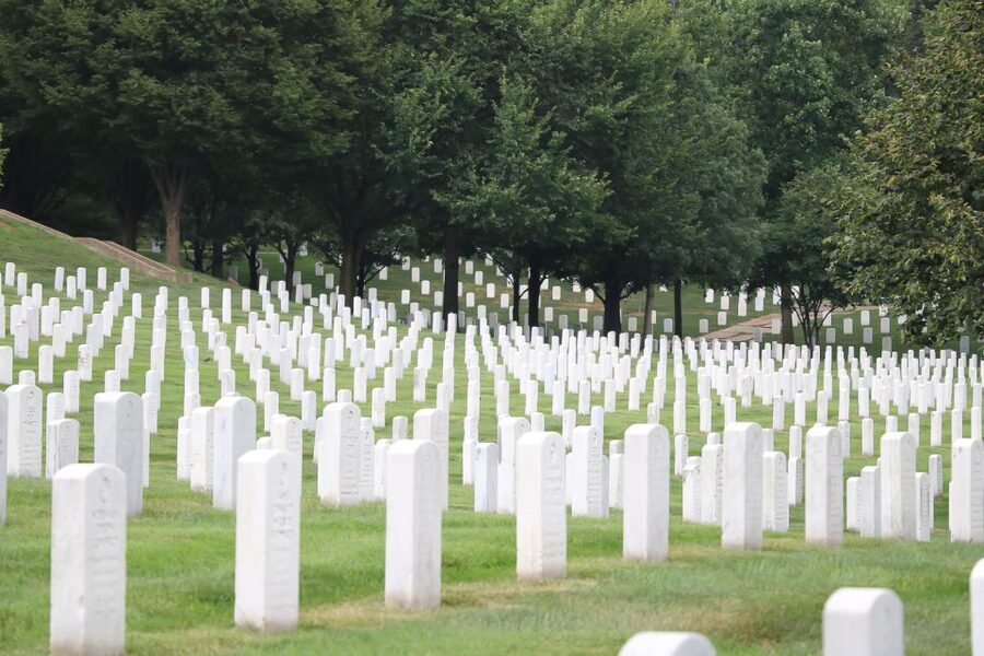 From NYC: Guided Day Trip to Washington DC by Van or Bus - The National Mall walking circuit: Lincoln, Vietnam, WWII, and the reflecting pool