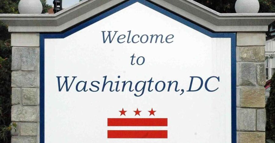 From NYC: Guided Day Trip to Washington DC by Van or Bus - Should you book this NYC to Washington DC guided day trip?